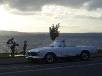 New 230 SL Whit blue 042t.jpg